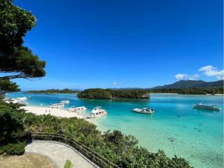 約30分の遊覧旅へ♪朝9時から夕方17時まで。15〜20分間隔で年中運航しています!