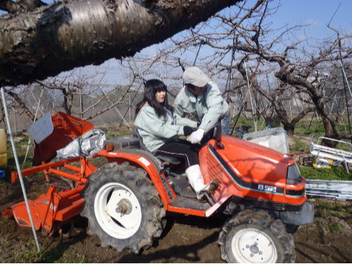 トラクター運転体験。塚き方を教えますよ。