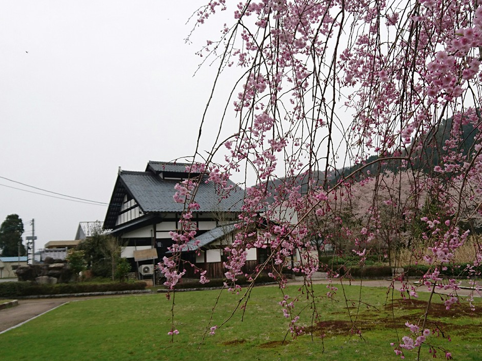 今庄そば道場 本格そば打ちが体験できます!!