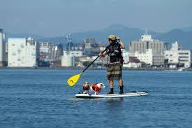 【静岡☆清水】お気軽SUP体験☆~富士山と三保の松原の絶景を眺めながら~