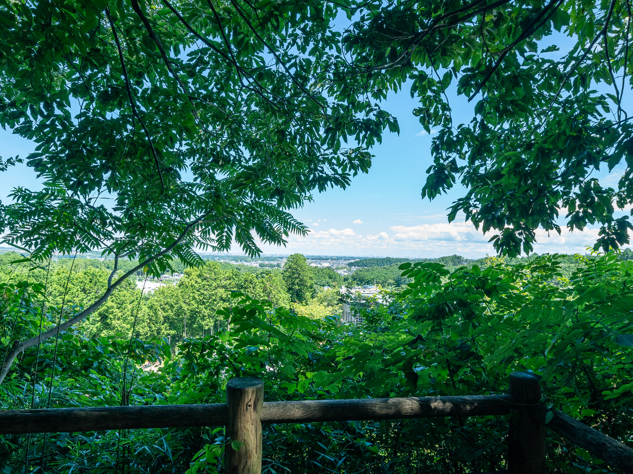 �W�]��܂ł͖{�ق���k��5���B�厩�R�𖞋i���Ȃ���̂��U������������