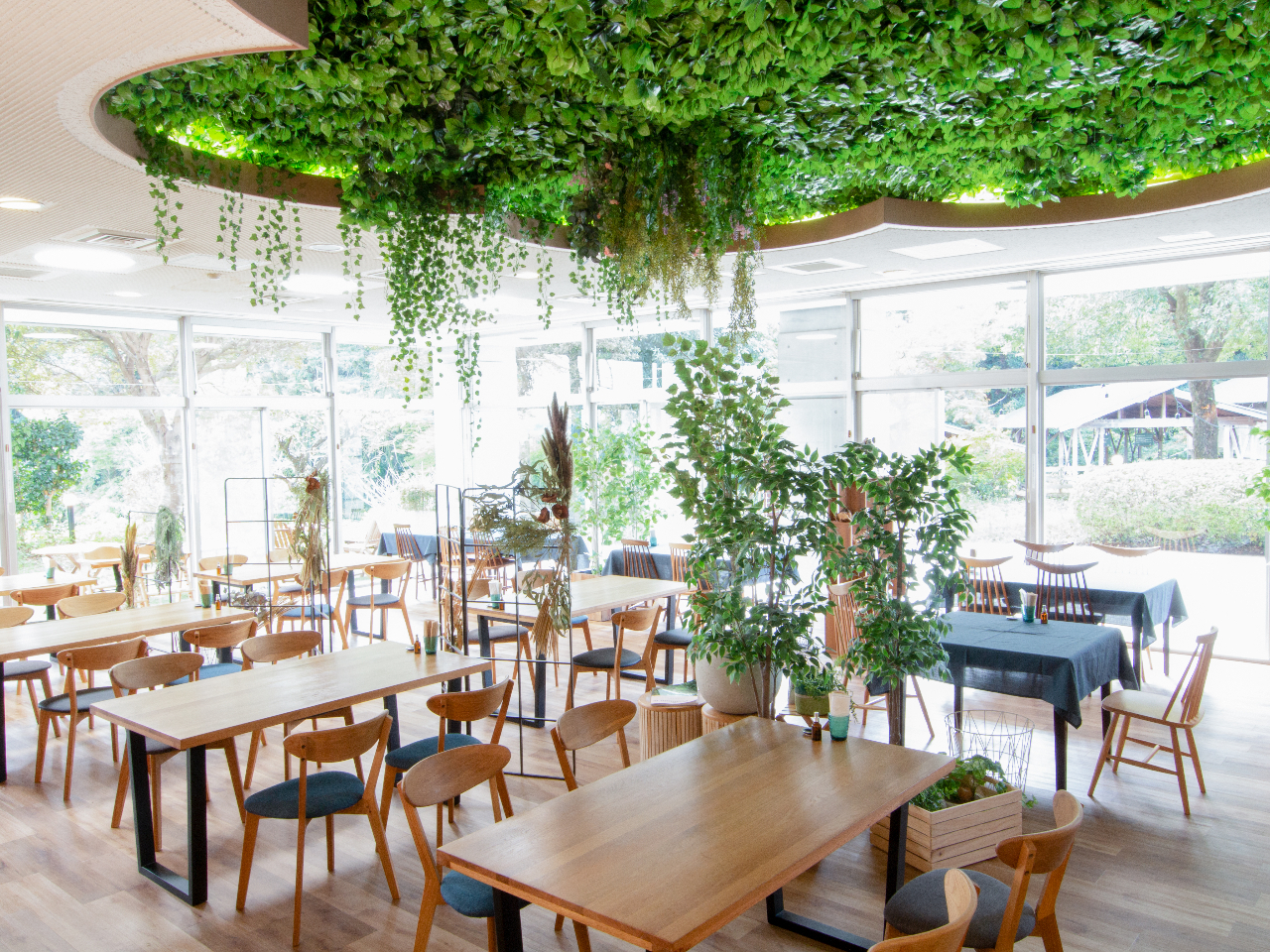 y₳_CjORestaurant MORINIWAzR̋ԂōʌŶ؂{̐HނgpȂǂpӂĂ܂B