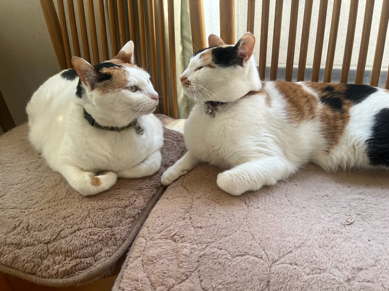 AVX^gL܂BLAM[AAR[AM[̂̕Q͂Ă܂B