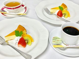 【シェフおまかせデザート ・ドリンクバー付プラン】仲良しグループでのママ友会・女子会にもおすすめ!一生の思い出に残る貸切パーティを行いませんか?