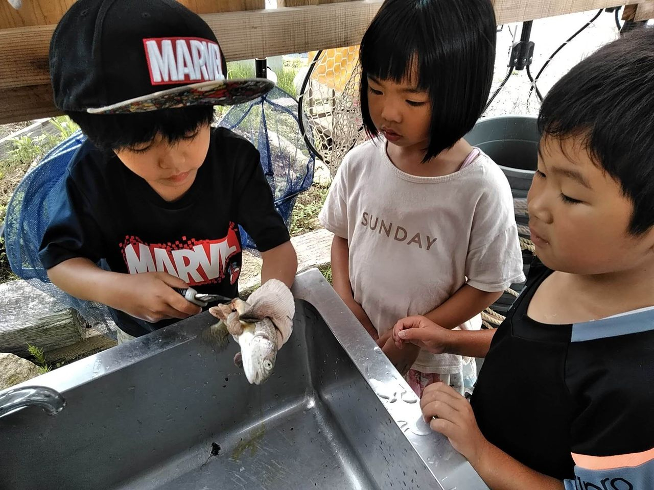 釣った魚はご自分でさばいて頂きます!写真付き説明ありますのではじめての方でもできますよ!(ナイフ、軍手あり)普段はなかなか出来ない体験なのでぜひチャレンジ!!