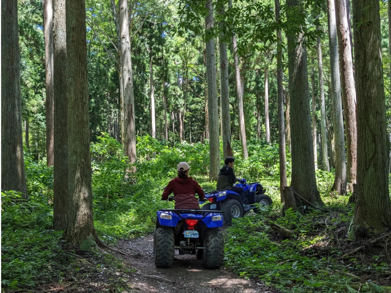 森林深くバギーで進む!マイナスイオンに包まれ非日常へまっしぐらです!