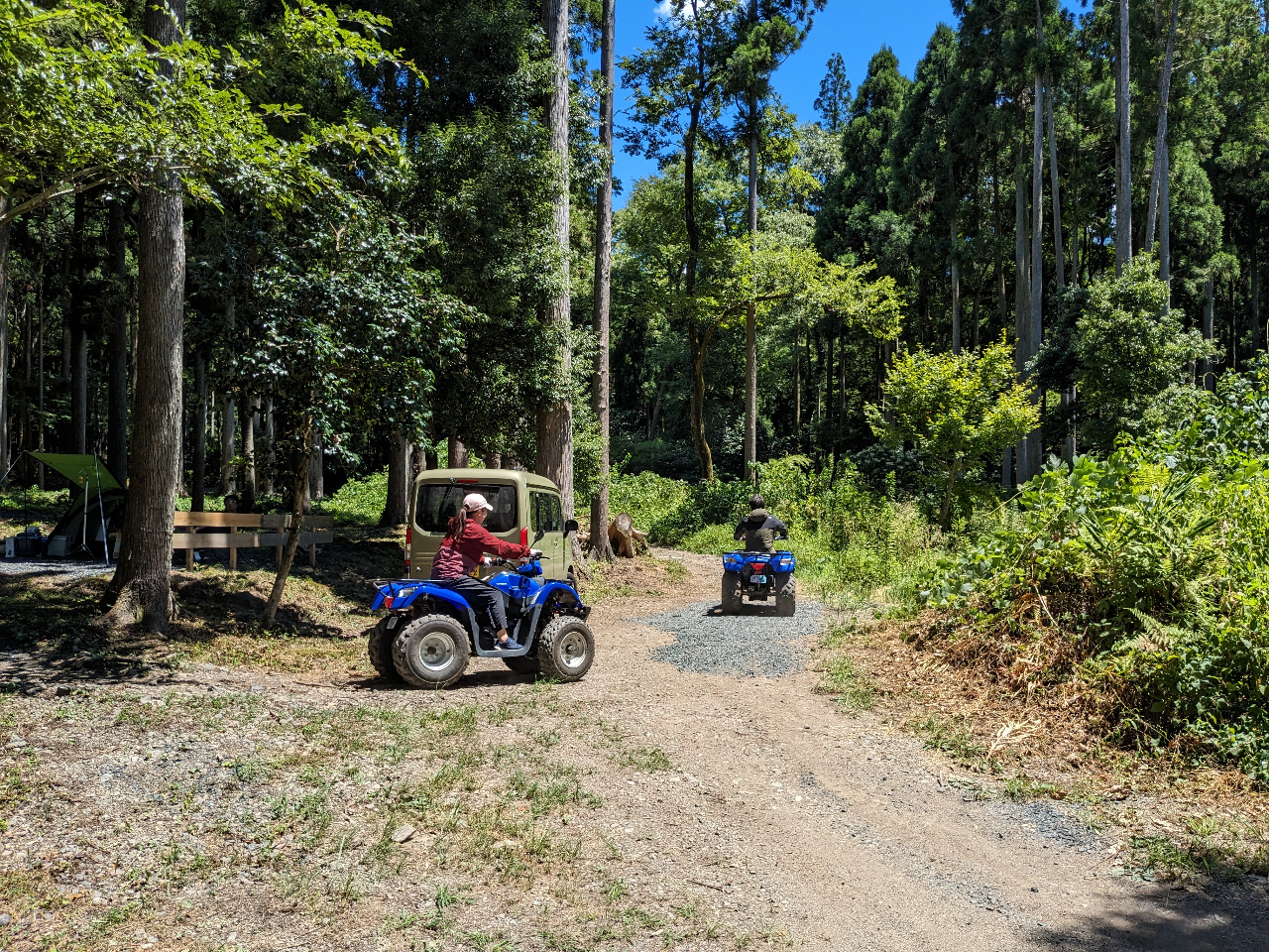 森林抜けてほっとひと安心!次の森へ向かいます!