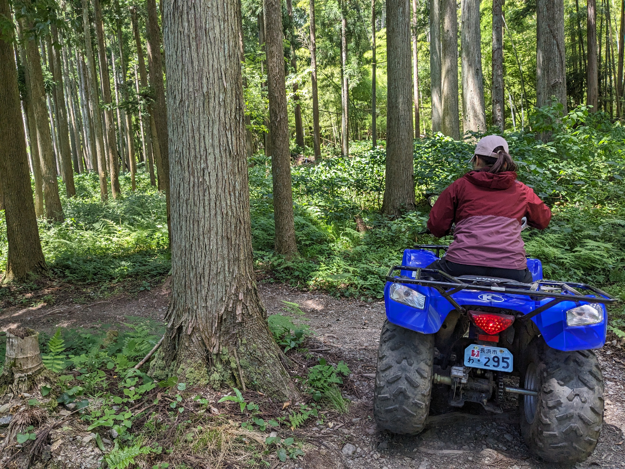 一人で森深くへ向かいます!スリルがあっておもしろい!