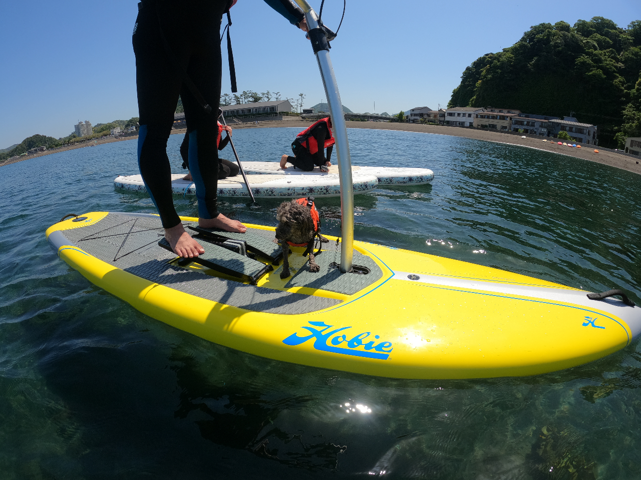 ワンちゃん同乗も可(3300円/頭)