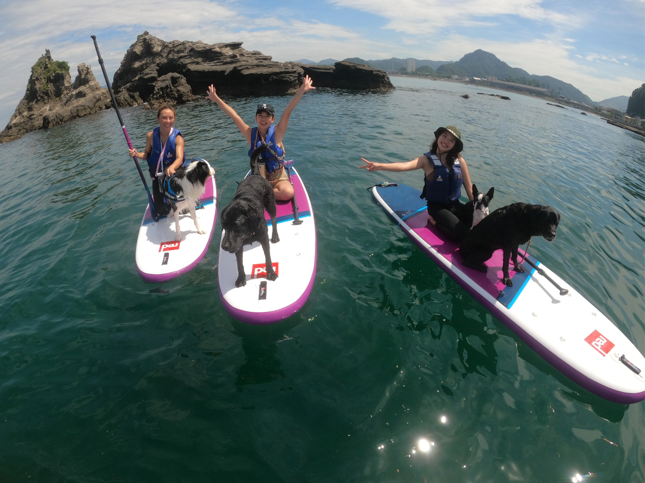 �����`�����Ə����\(�ʓr3300�~)