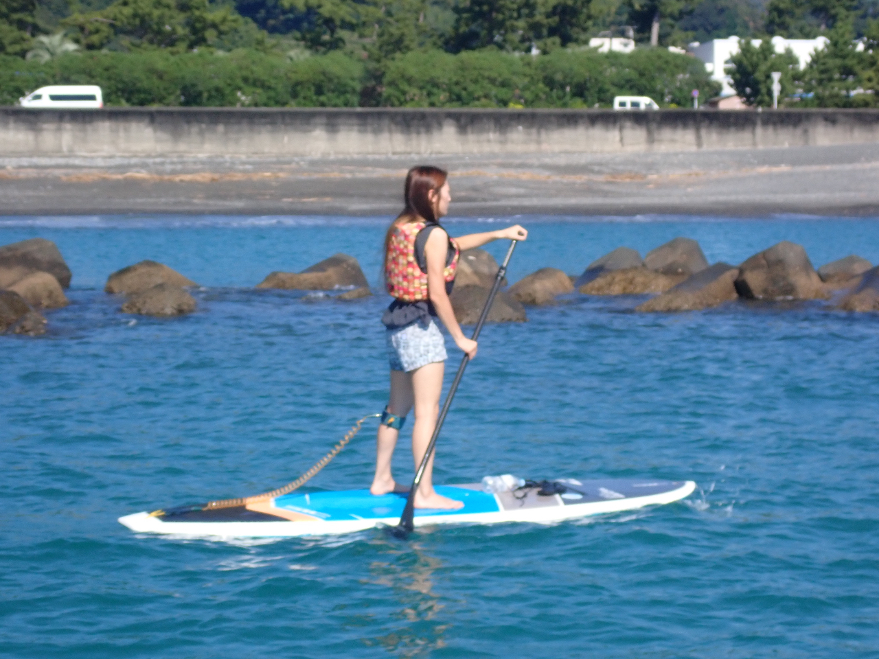 gubNł˂肪Ă̂т葆܂B