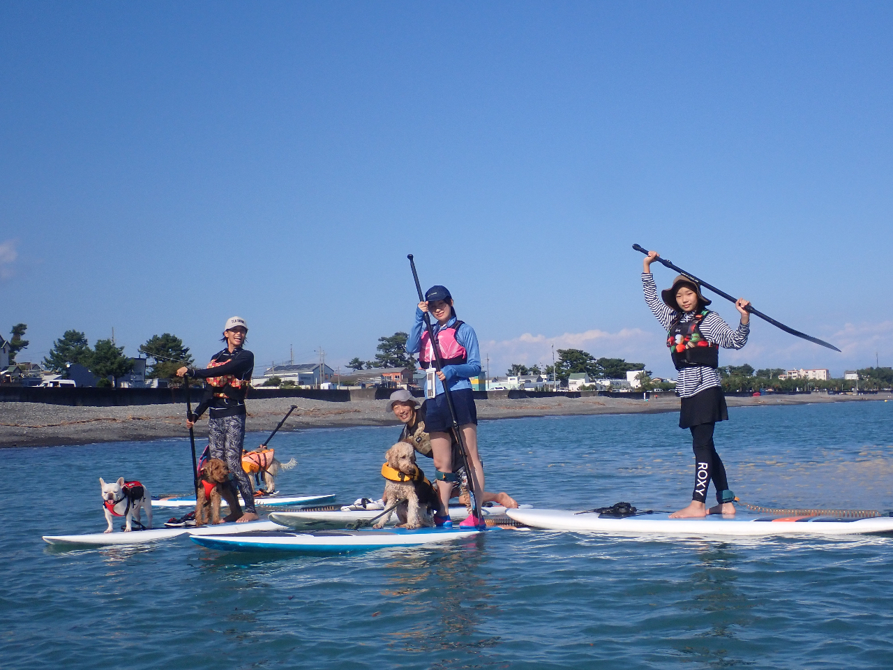 DOG SUP̓hbNg[i[SUPCXgN^[ƎDOG SUPwōŝňSłB