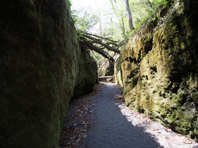 ほとんど人が訪れない自然の中でスローな時間を過ごしませんか。