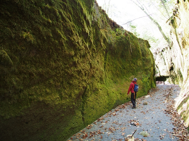 ۂɂꂽLIЌグĂ݂ĂˁB