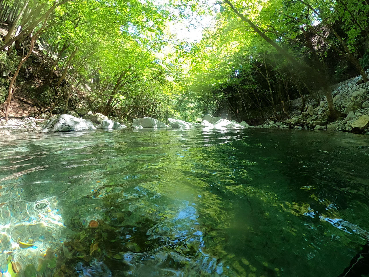 ���O��̐����͂����Ƃ肷�邭�炢���Y��ł��B