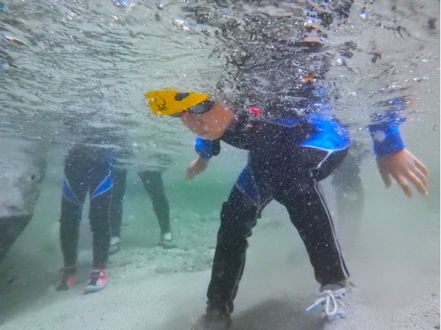 ���}�����j���ł���̌�����ꂽ���ȁ`�B