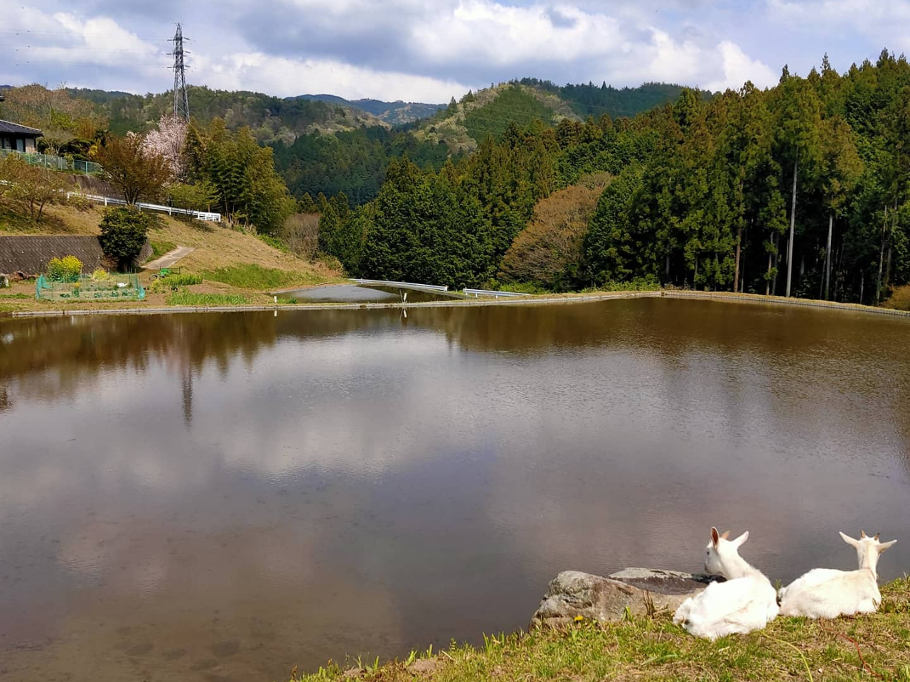 常陸太田市のレジャー 体験ランキングtop10 じゃらんnet