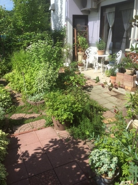 ����̌��w���ł��܂���