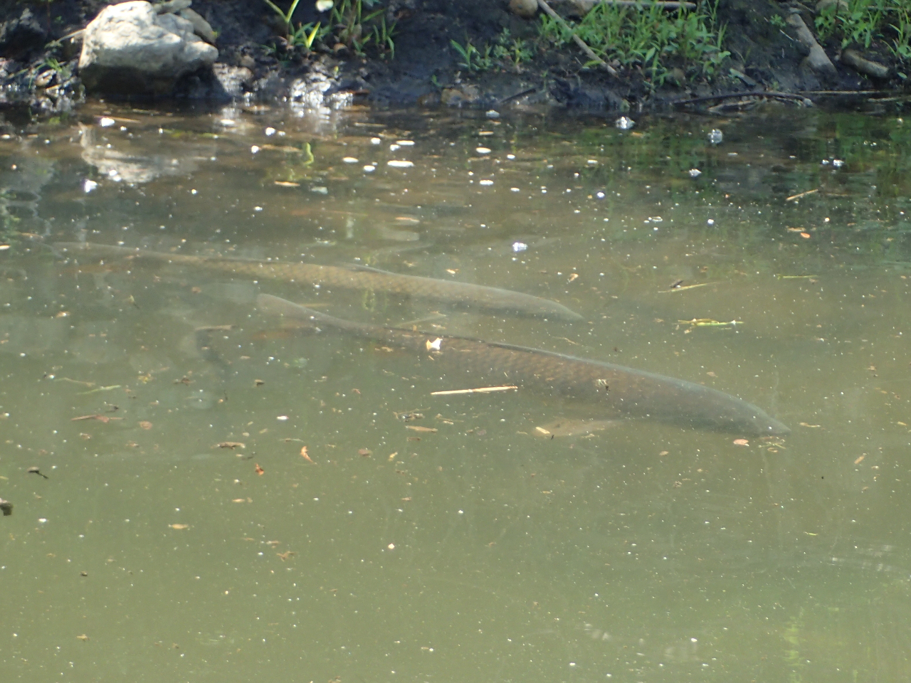 c΂ɂ͐FXȐZł܂Bȑ傫ȌI