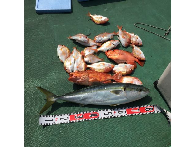 【島根隠岐ノ島・海釣り】遊漁船で楽しむ!5人から参加OKの五目釣りプラン 6:00〜12:00のプラン詳細