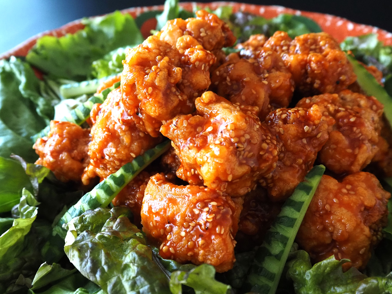 �y�����z2026�؍��t�F�A�@�����j�����`�L��