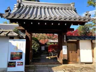 紅葉の京都 妙心寺塔頭 大法院 紅葉の露地地庭園特別拝観 抹茶付き と昼食プラン 京料理 花ごころ じゃらん遊び体験 紅葉の京都 妙心寺塔頭 大法院 紅葉の露地地庭園特別拝観 抹茶付き と昼食プラン 京料理 花ごころ じゃらん遊び体験
