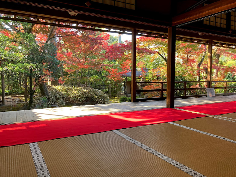 紅葉の京都 妙心寺塔頭 大法院 紅葉の露地地庭園特別拝観 抹茶付き と昼食プラン 京料理 花ごころ じゃらん遊び体験