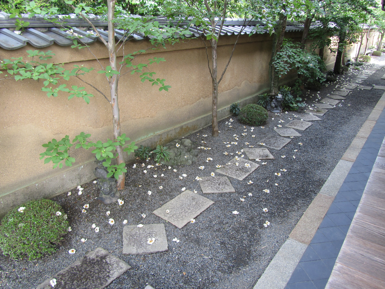 �������@�Ԃ�����̎ʐ^2