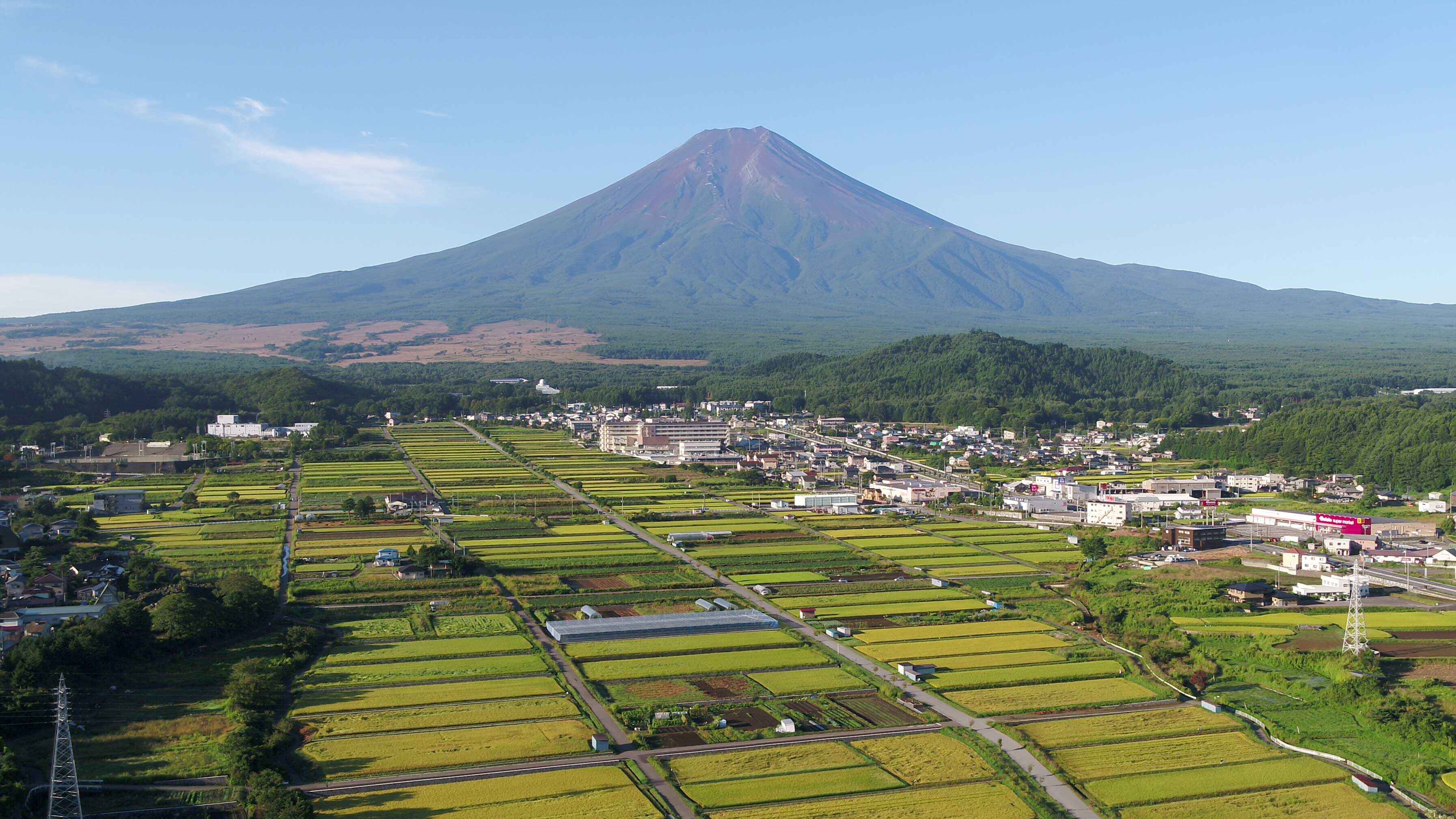 �x�m�g�c �_������