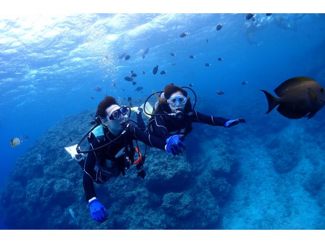 360度どこを見てもきれいな海!!