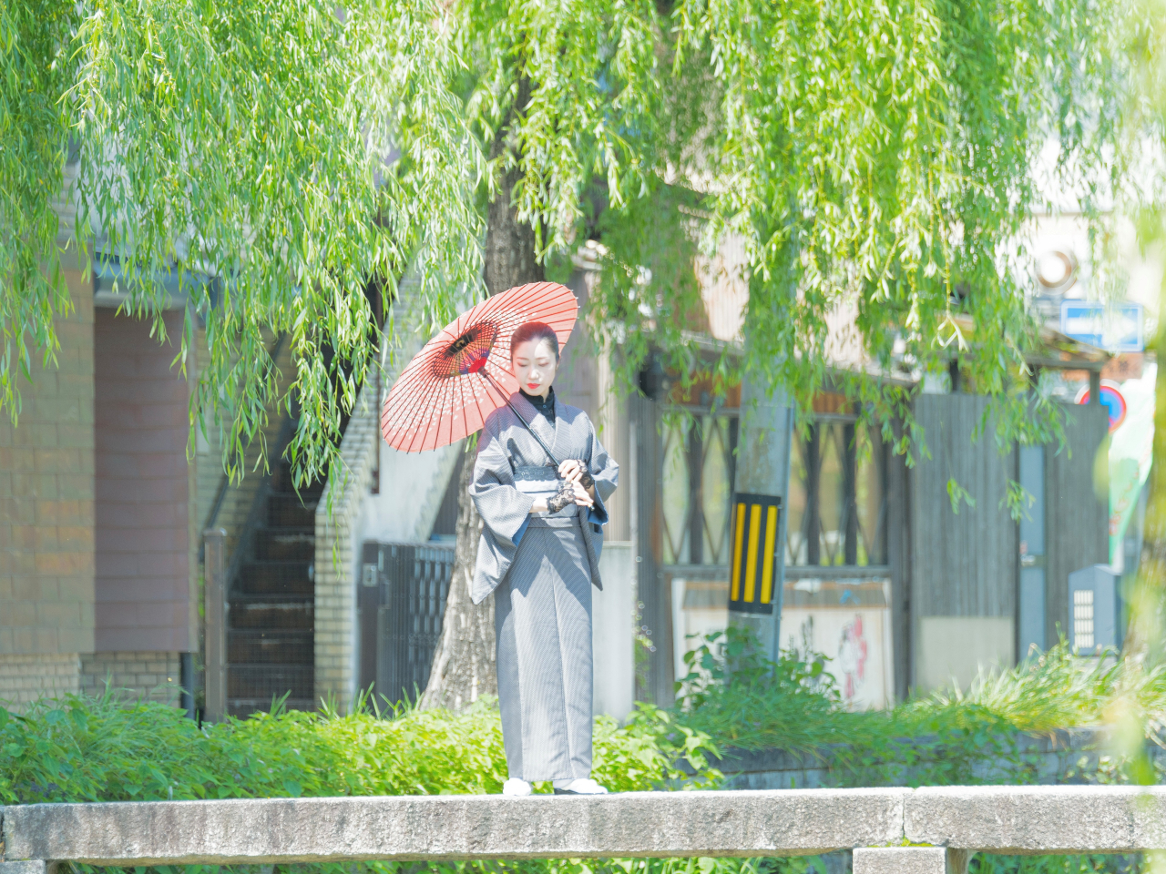 ����{�� �_���l���w����k��1��