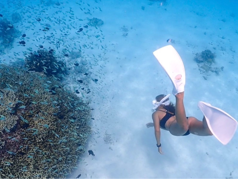 生き物達と一緒に海中を楽しめます!