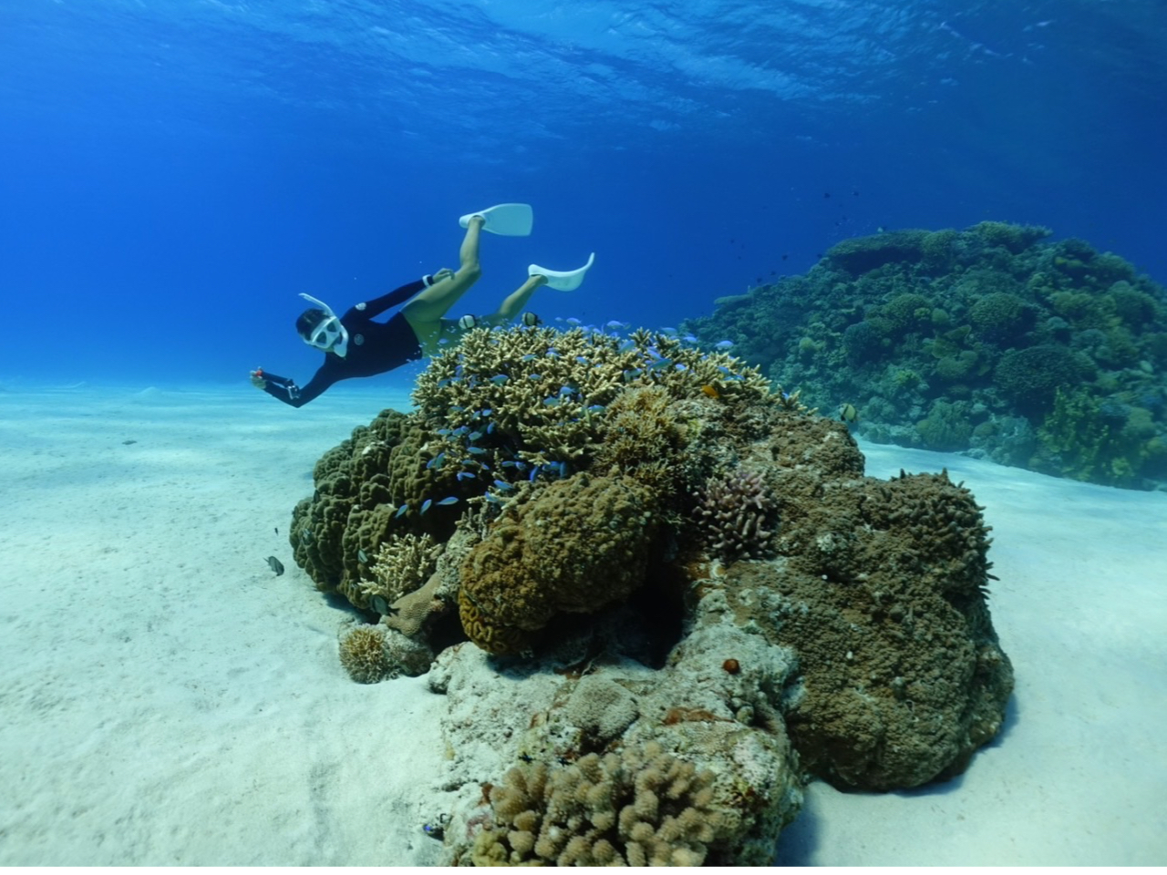 超リアル水族館!