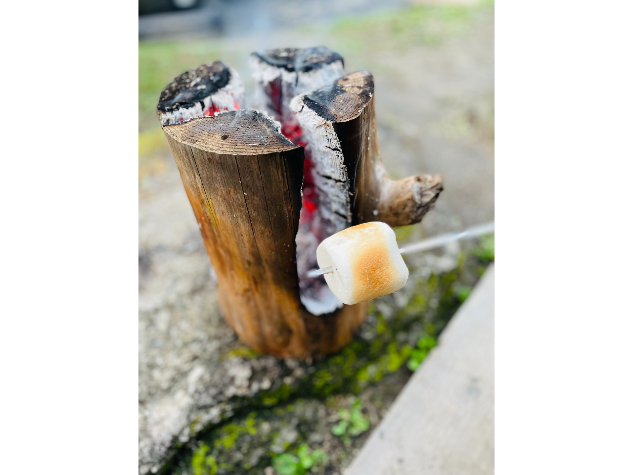 ƂƂĂ}V}I@݂ȂłƊyII