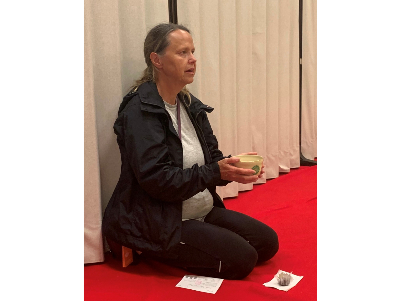 É{یaEVԂɂčsAs̗lq