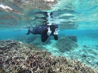石垣島 国立公園 米原ビーチでシュノーケルツアー ウェットスーツ 温水シャワー完備で快適 4歳 参加ok 浅瀬でアイドル ニモ や珊瑚が沢山 ツアーの思い出写真プレゼントしますよ Jellyfish じゃらん遊び体験 石垣島 国立公園 米原ビーチでシュノーケルツアー ウェットスーツ 温水シャワー完備で快適 4歳 参加ok 浅瀬でアイドル ニモ や珊瑚が沢山 ツアーの思い出写真プレゼントしますよ Jellyfish じゃらん遊び体験