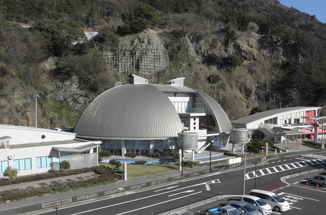 【ファミリーにもおすすめ!】遊んで学べる越前がにミュージアム入館プラン★☆★