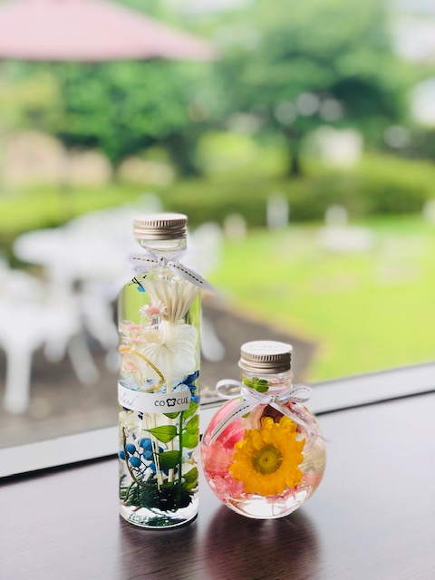 iׂČĂg̃n[oEԂIƊFlĒėLt𖈉񂢂Ă܂