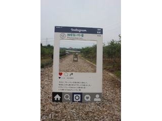 2020年のご予約 時間無制限 食べ放題500円 ブルーベリー24品種食べ比べ かおるブルーベリー園 じゃらん遊び体験