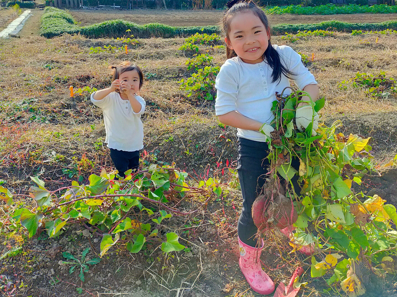 Ȃӂɏo񂾂Čė~͐؂炸ɒuĂ܂