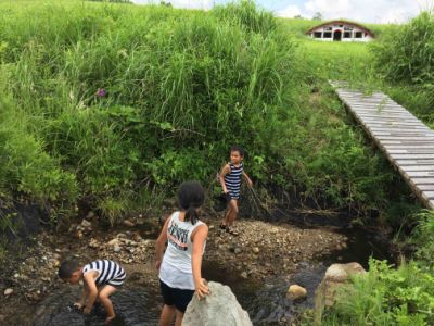 _𗬂鏬ɂ͖쐶̃_JĂ܂B