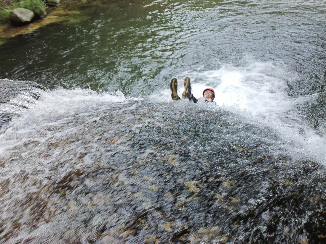 ڂɋtEH[^[XC_[IX_I