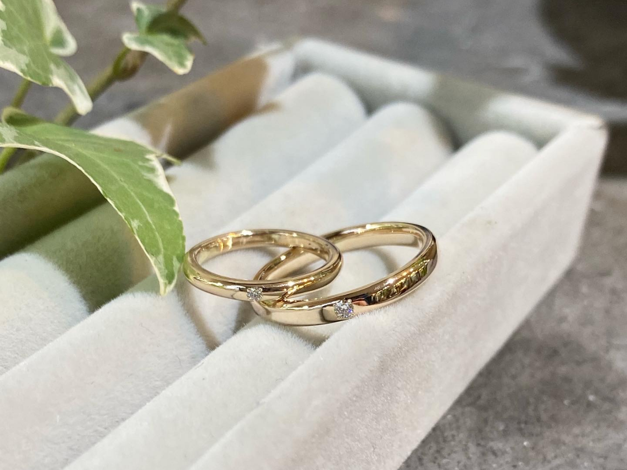 IvVŐΗ߂܂B݂̒a΂𗯂߂̂fGłvʐ^K10OłBK10OR[X܂B