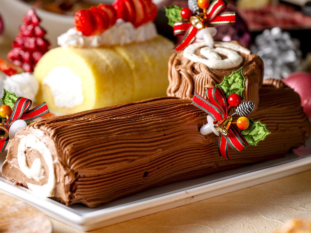 �y12/20�`25����z�u�b�V���E�h�E�m�G��