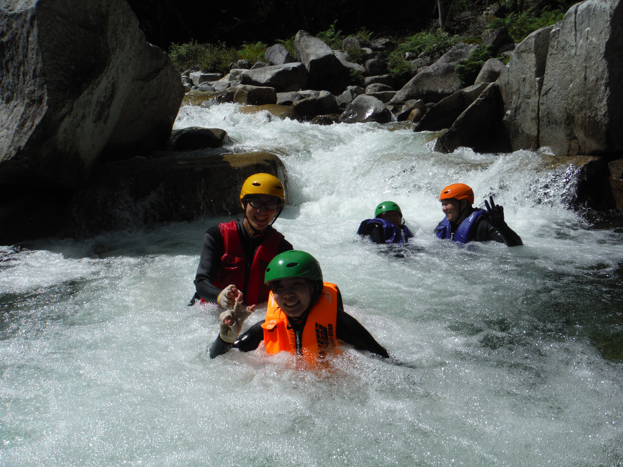 �A����̓V�R�W���O�W�[�I