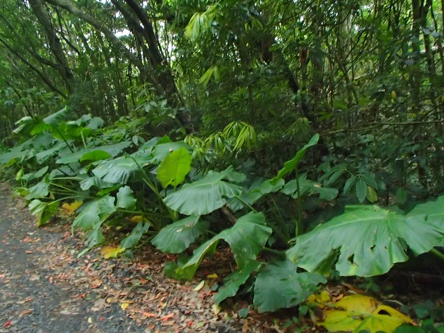 ɂȂނɏo邩B͑̎ԑтo`X܂BoԂ͂qlɍ킹Ă܂̂ŁAłē܂B