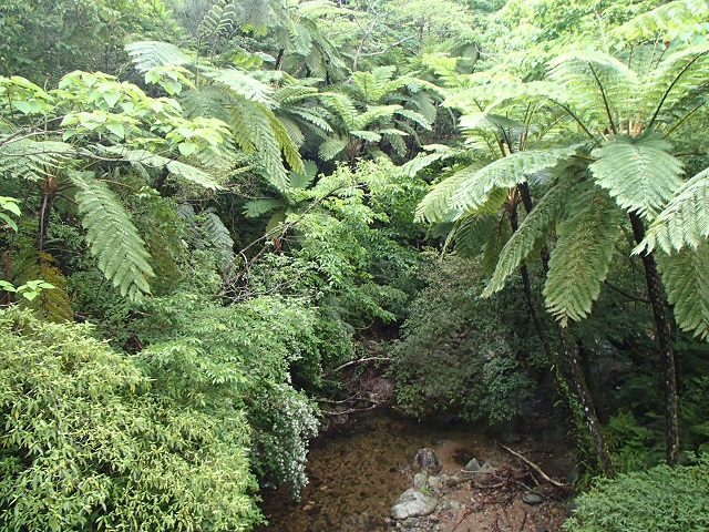 쌴XɉɓłBKl߂ɂȂ鏊łBHɂĂ͍sȂꍇ܂B