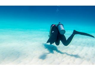 体験ダイビング