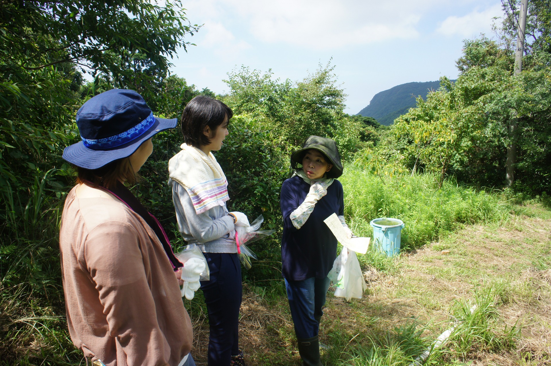ハンティングと説明