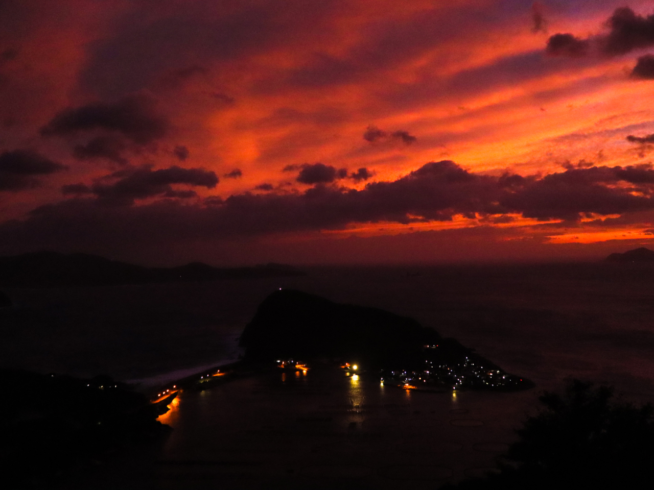 �_�����ʂȃV���[�������Ă���܂�